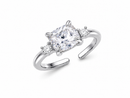 ANELLO PRESTIGE