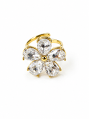 ANELLO EDEN