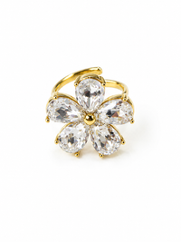 ANELLO EDEN