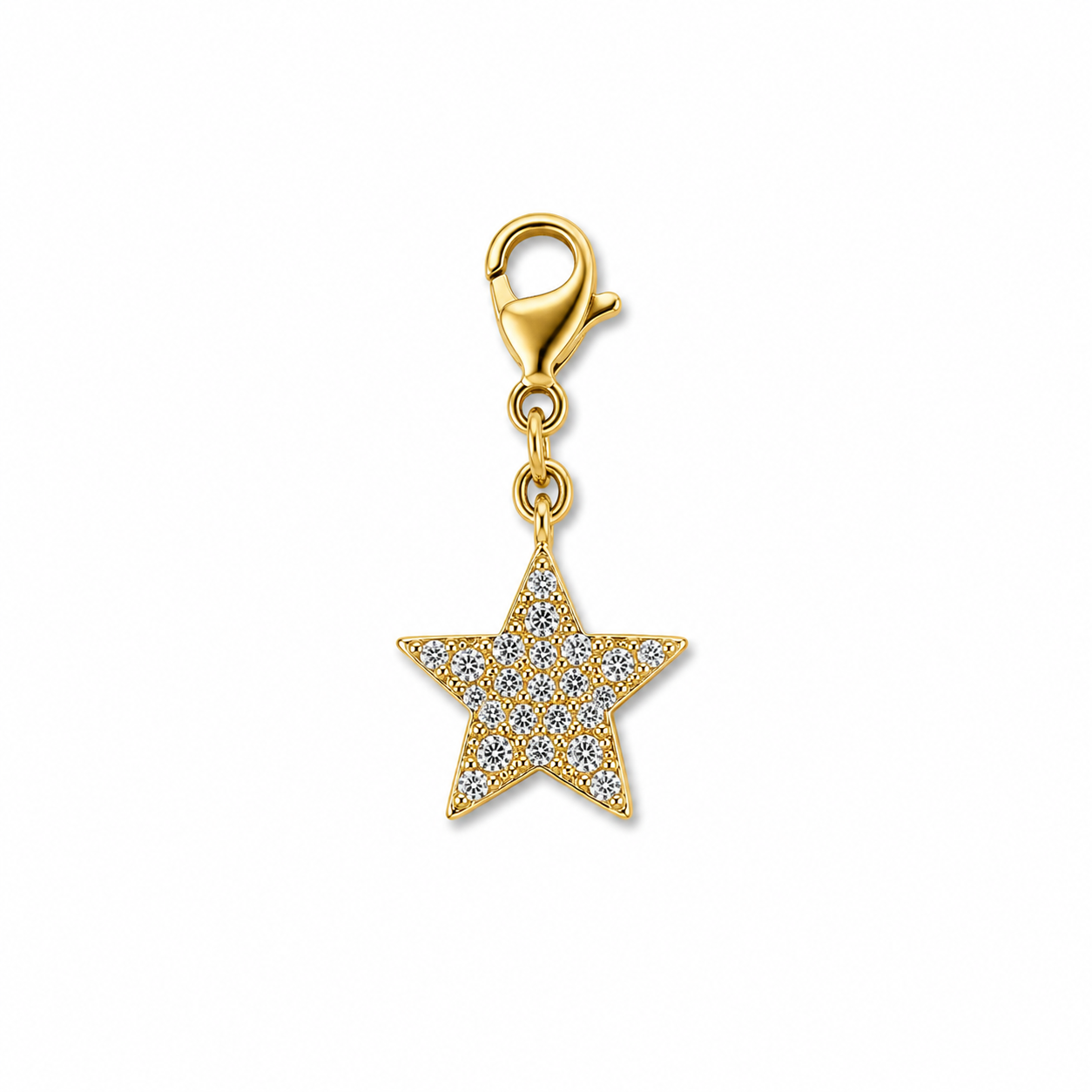 CHARM STELLA SHINE