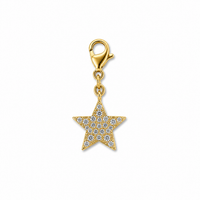 CHARM STELLA SHINE