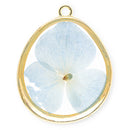 CHARM ORTENSIA