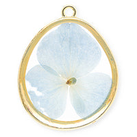 CHARM ORTENSIA