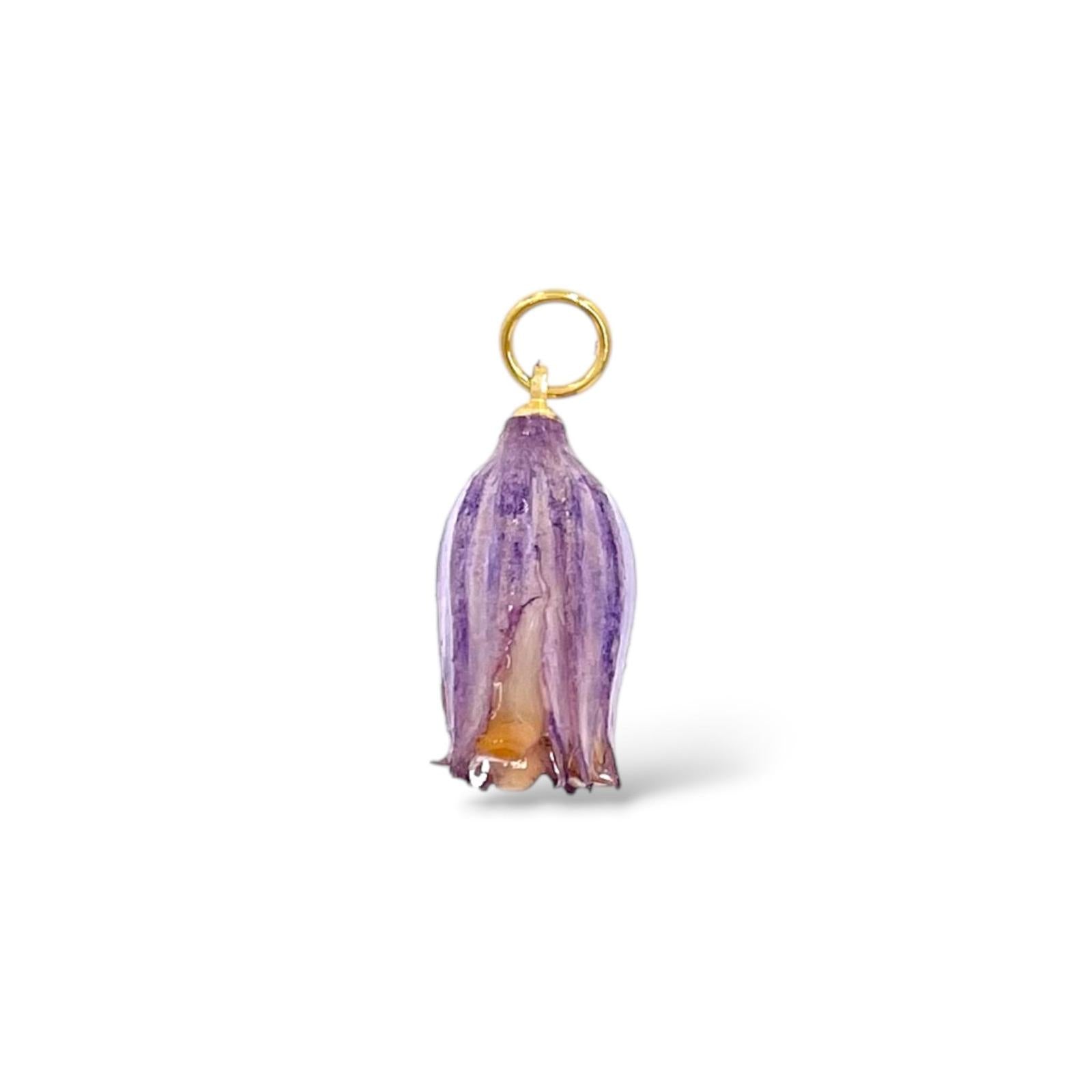 viola/oro