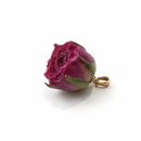 CHARM ROSELLINA