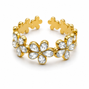 ANELLO FLORELIA