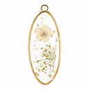 CHARM FIORI SECCHI