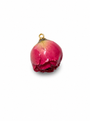 CHARM ROSELLINA
