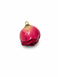CHARM ROSELLINA