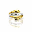 ANELLO BICOLOR