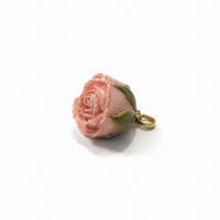 CHARM ROSELLINA