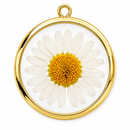CHARM FIORDALISO