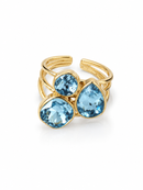 ANELLO VELIA