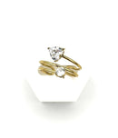 ANELLO ELIN