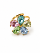 ANELLO EDEN