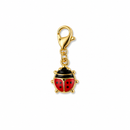 CHARM COCCINELLA