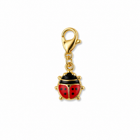 CHARM COCCINELLA