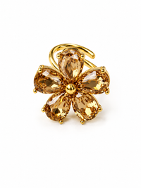 ANELLO EDEN