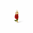 CHARM TULIPANO COLOR