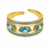 ANELLO AMELYS